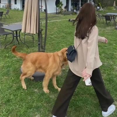 爱在深秋